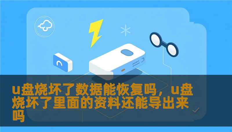 u盘烧坏了数据能恢复吗，u盘烧坏了里面的资料还能导出来吗