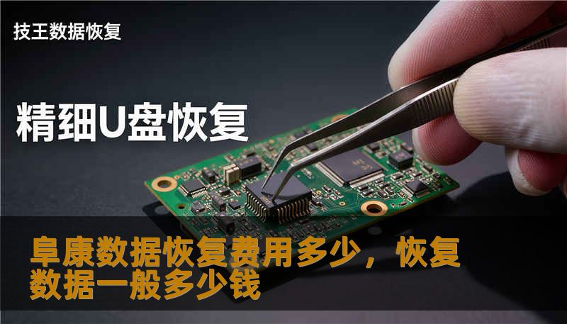 阜康数据恢复费用多少，恢复数据一般多少钱