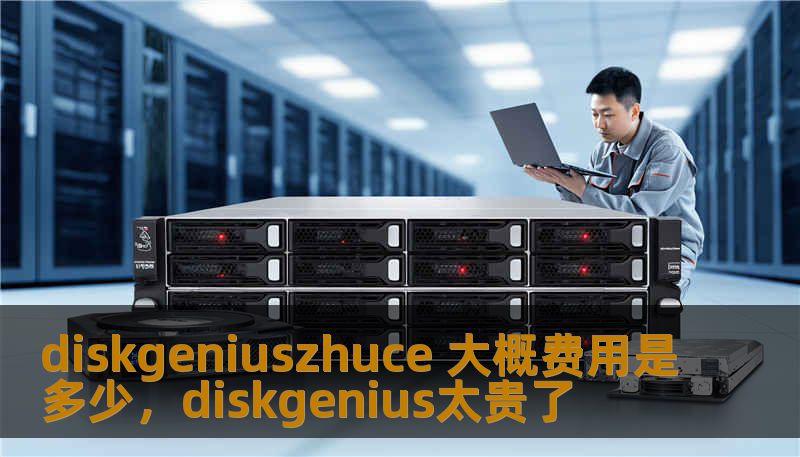 diskgeniuszhuce 大概费用是多少，diskgenius太贵了