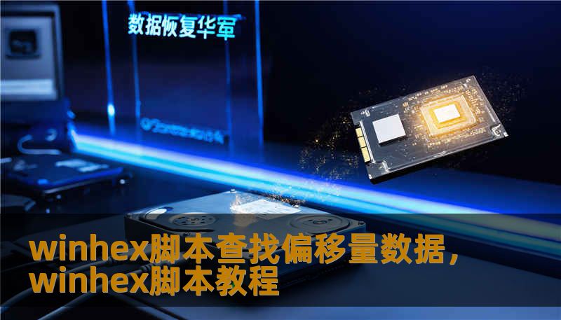 winhex脚本查找偏移量数据，winhex脚本教程