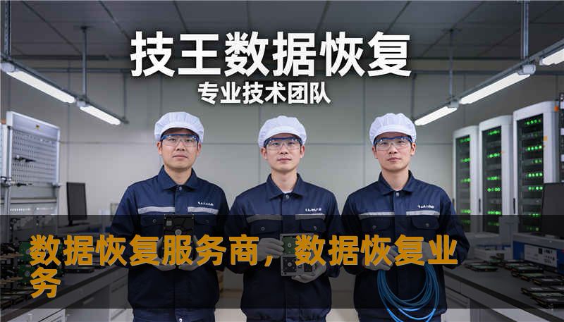 数据恢复服务商，数据恢复业务