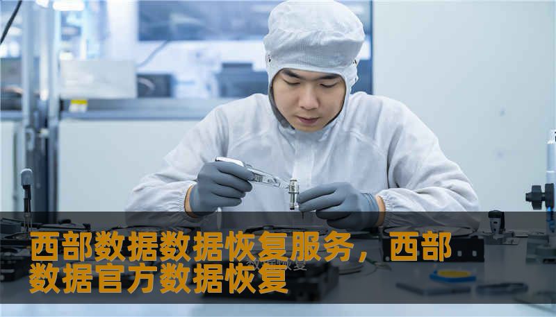 西部数据数据恢复服务，西部数据官方数据恢复