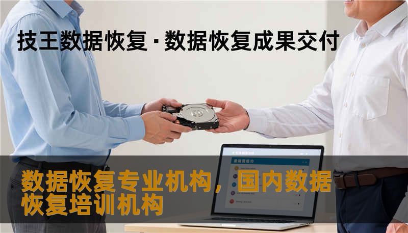 数据恢复专业机构，国内数据恢复培训机构