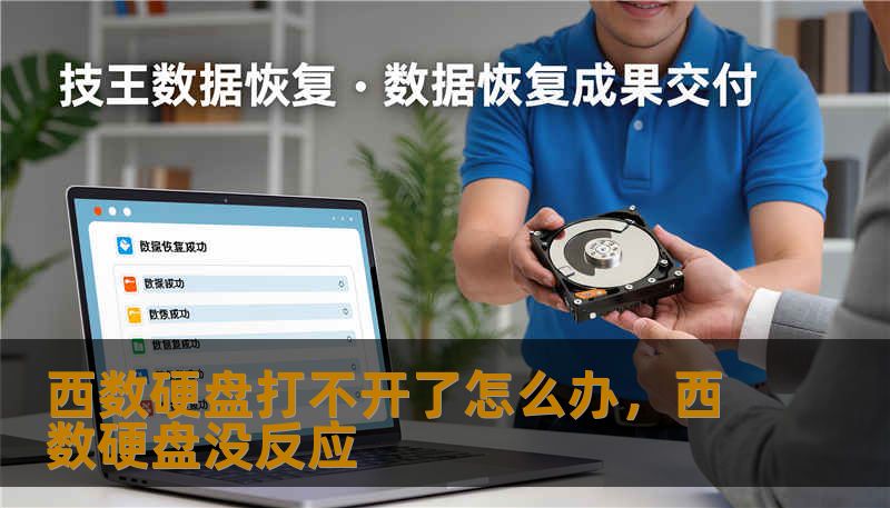 西数硬盘打不开了怎么办，西数硬盘没反应