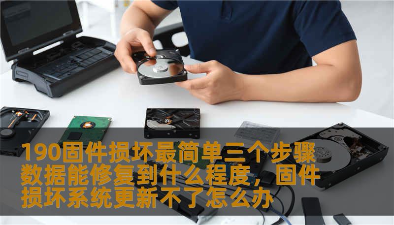 190固件损坏最简单三个步骤 数据能修复到什么程度，固件损坏系统更新不了怎么办