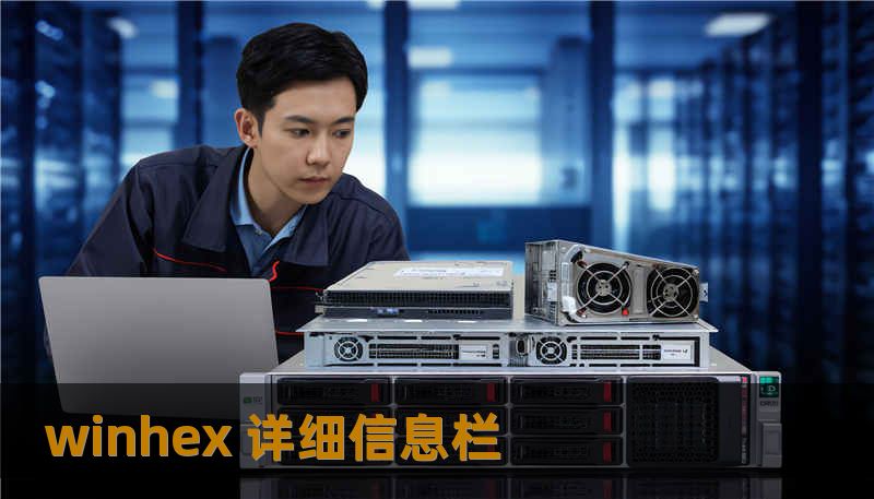 winhex 详细信息栏