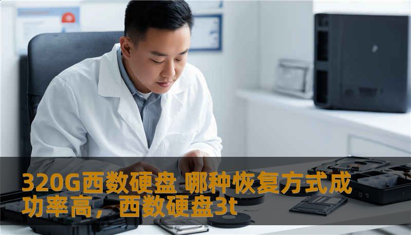 320G西数硬盘 哪种恢复方式成功率高,西数硬盘3t 320G西数硬盘 哪种恢复方式成功率高,西数硬盘3t