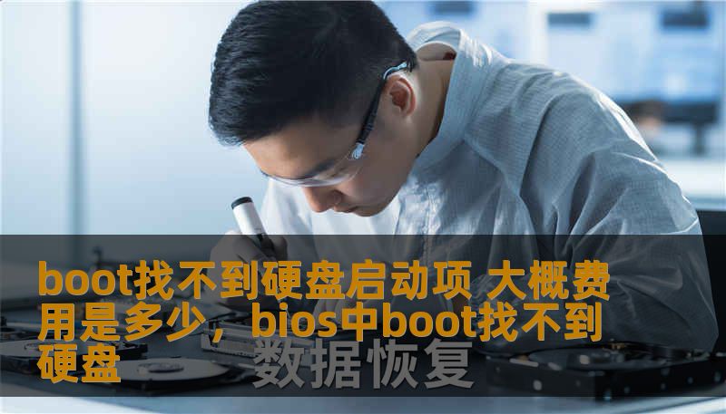 boot找不到硬盘启动项 大概费用是多少，bios中boot找不到硬盘