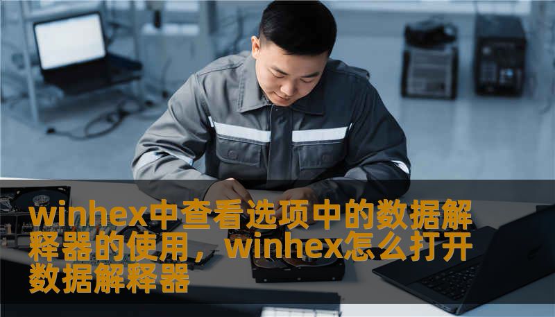 winhex中查看选项中的数据解释器的使用，winhex怎么打开数据解释器