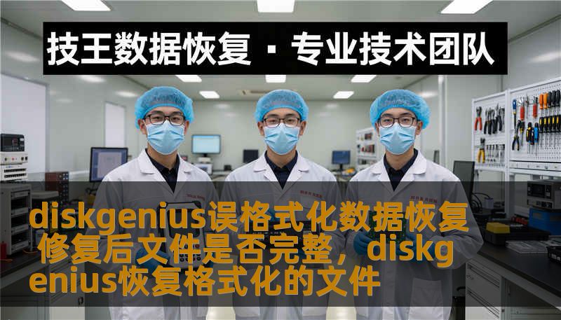 diskgenius误格式化数据恢复 修复后文件是否完整，diskgenius恢复格式化的文件