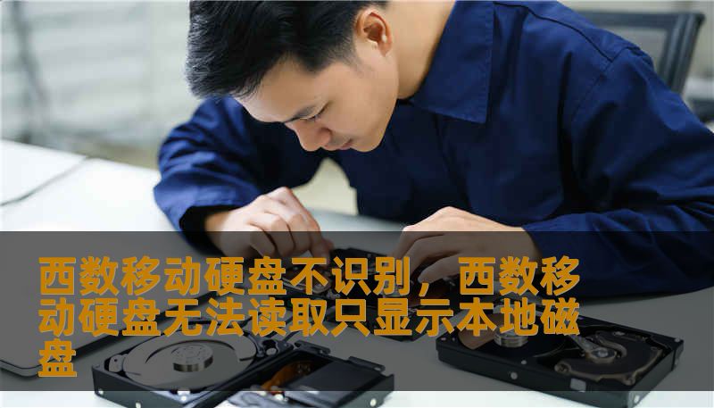 西数移动硬盘不识别，西数移动硬盘无法读取只显示本地磁盘