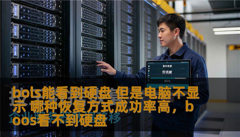 bols能看到硬盘 但是电脑不显示 哪种恢复方式成功率高，boos看不到硬盘