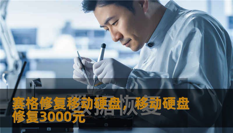 赛格修复移动硬盘，移动硬盘修复3000元
