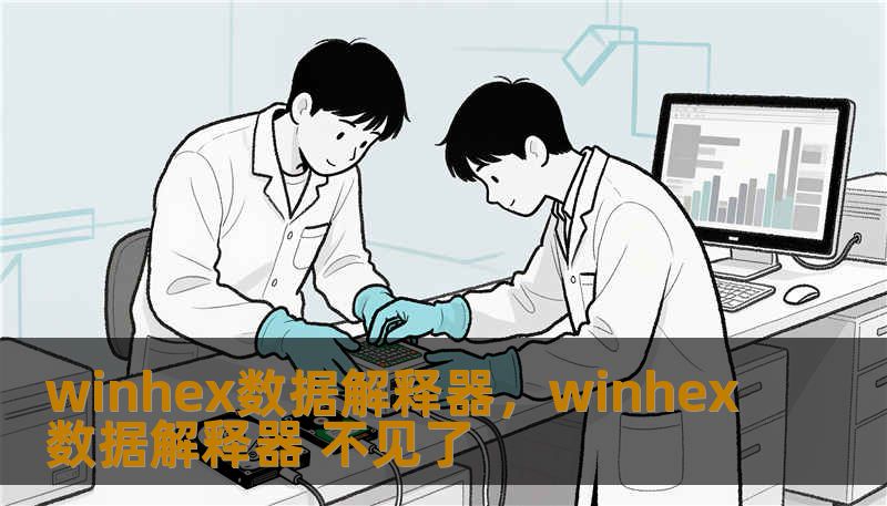 winhex数据解释器，winhex数据解释器 不见了