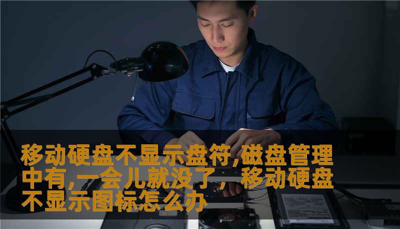 移动硬盘不显示盘符,磁盘管理中有,一会儿就没了，移动硬盘不显示图标怎么办