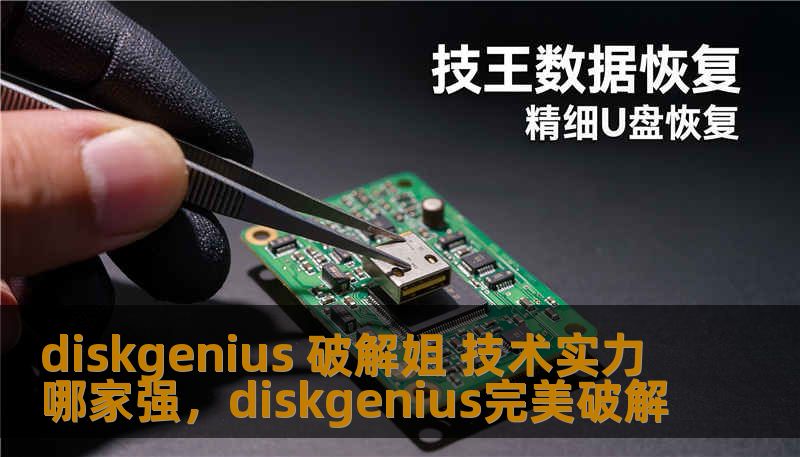 diskgenius 破解姐 技术实力哪家强,diskgenius完美破解 diskgenius 破解姐 技术实力哪家强,diskgenius完美破解