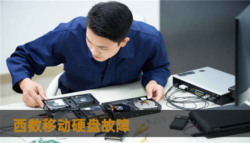 西数移动硬盘故障