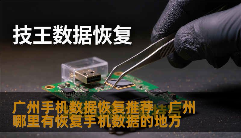 广州手机数据恢复推荐，广州哪里有恢复手机数据的地方