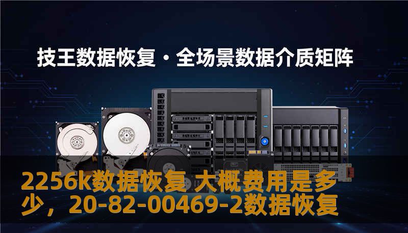 2256k数据恢复 大概费用是多少，20-82-00469-2数据恢复