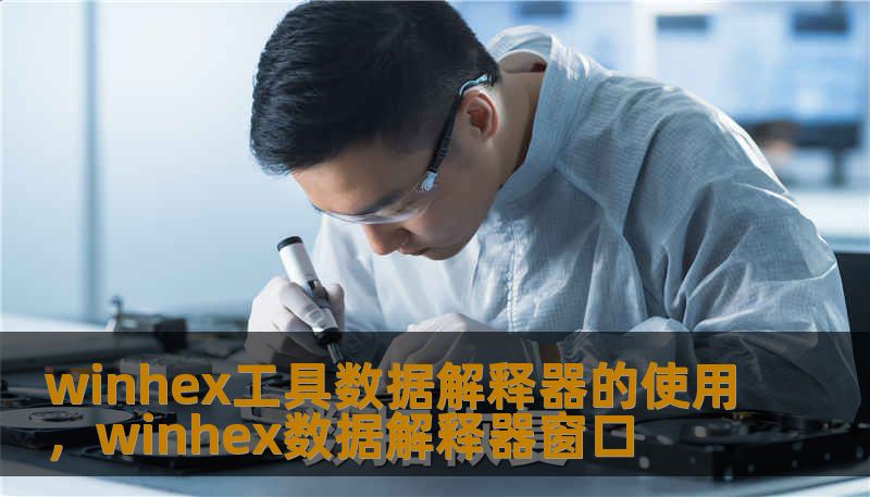 winhex工具数据解释器的使用，winhex数据解释器窗口