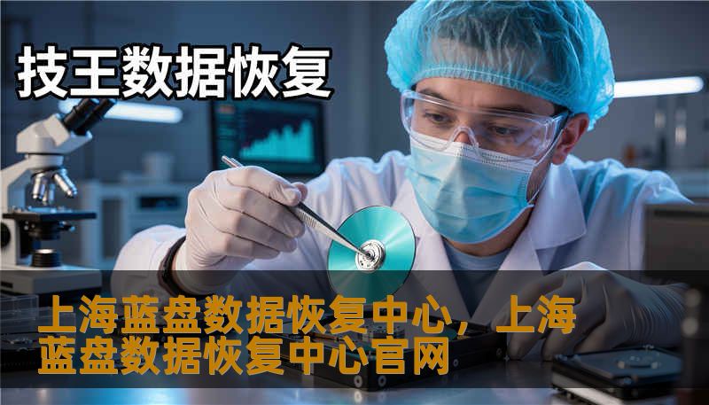 上海蓝盘数据恢复中心,上海蓝盘数据恢复中心官网 上海蓝盘数据恢复中心,上海蓝盘数据恢复中心官网