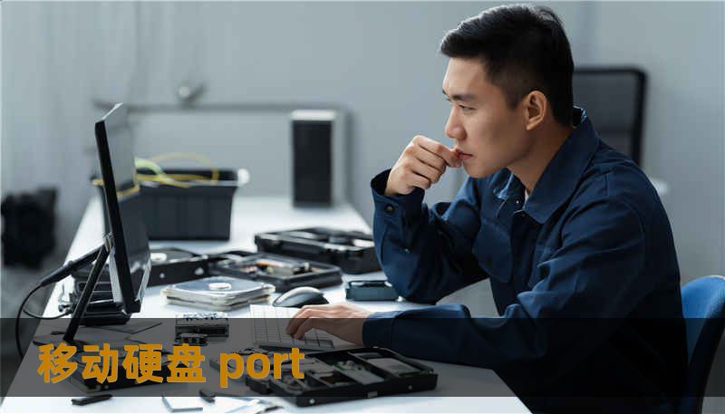移动硬盘 port