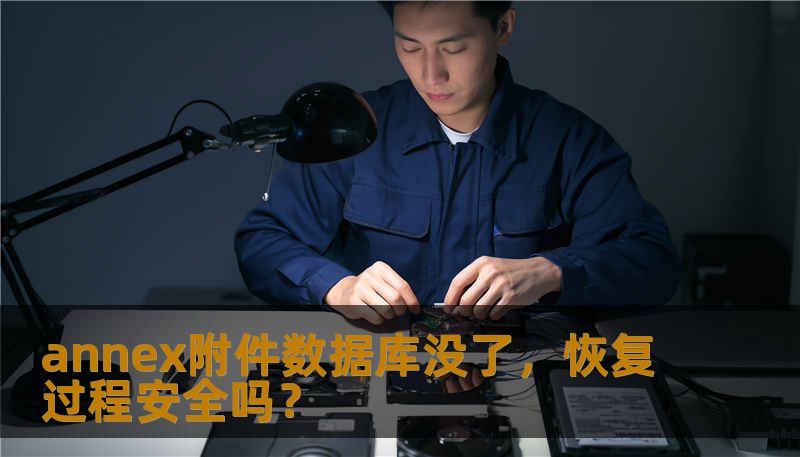 annex附件数据库没了,恢复过程安全吗? annex附件数据库没了,恢复过程安全吗?