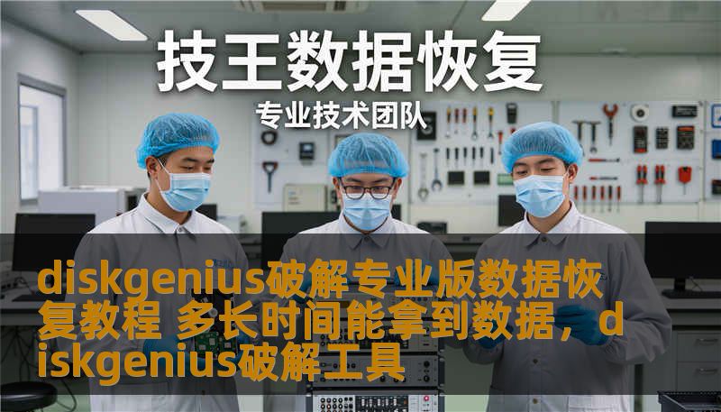 diskgenius破解专业版数据恢复教程 多长时间能拿到数据，diskgenius破解工具