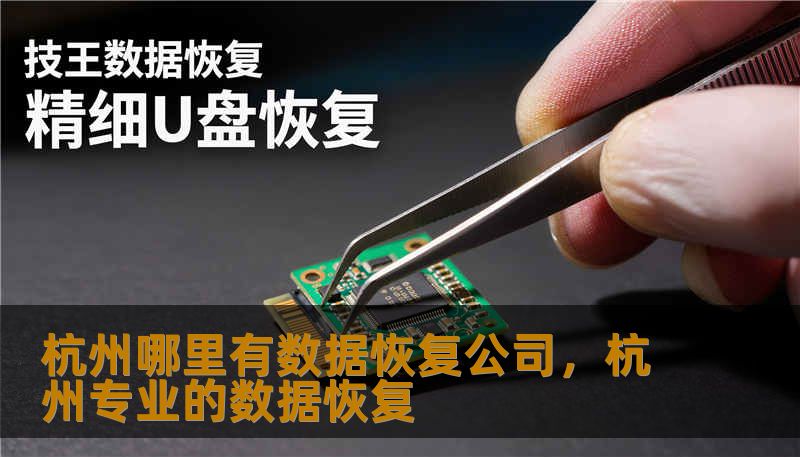 杭州哪里有数据恢复公司，杭州专业的数据恢复