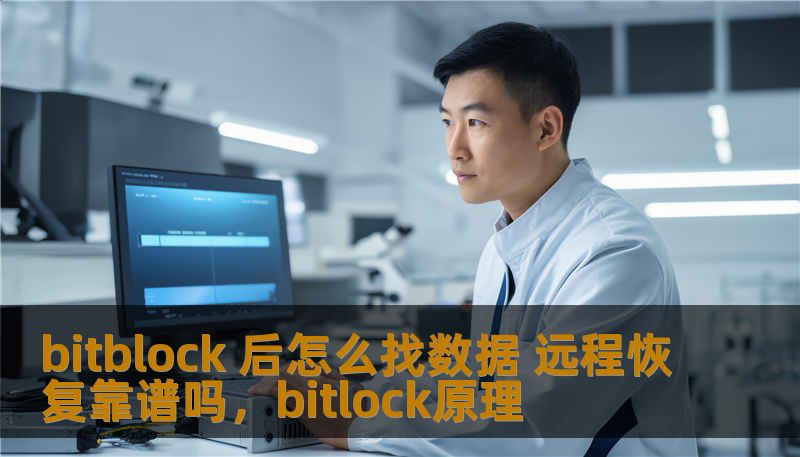 bitblock 后怎么找数据 远程恢复靠谱吗，bitlock原理