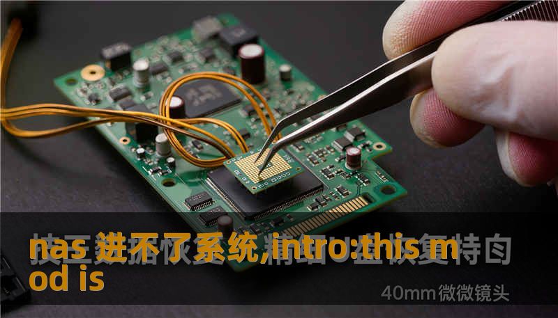 nas 进不了系统,intro:this mod is