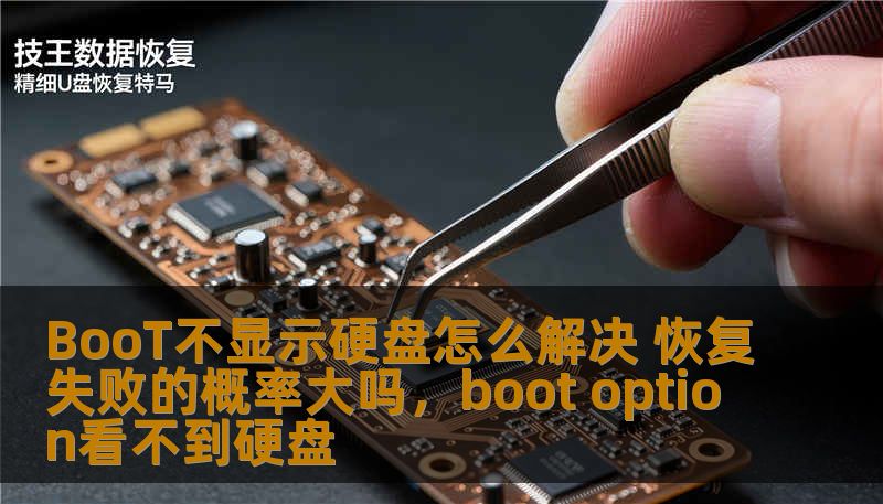 BooT不显示硬盘怎么解决 恢复失败的概率大吗，boot option看不到硬盘