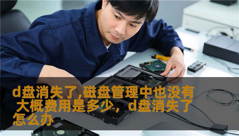 d盘消失了,磁盘管理中也没有 大概费用是多少，d盘消失了怎么办