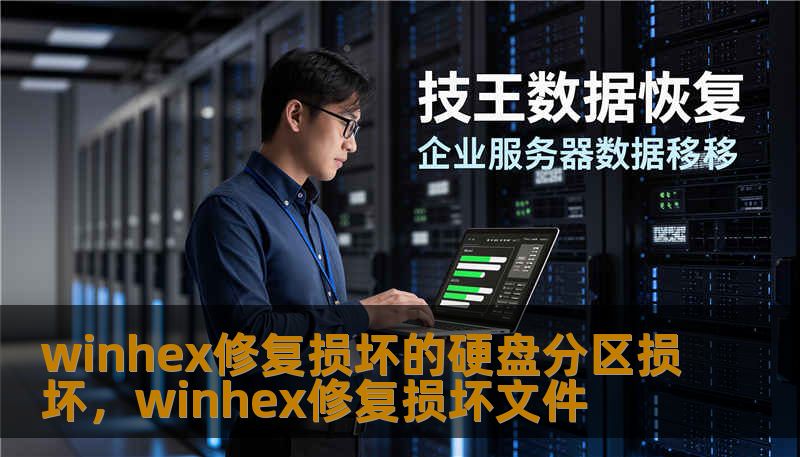 winhex修复损坏的硬盘分区损坏，winhex修复损坏文件