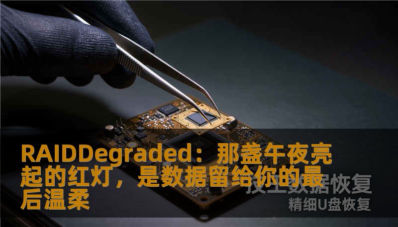 RAIDDegraded:那盏午夜亮起的红灯,是数据留给你的最后温柔 RAIDDegraded:那盏午夜亮起的红灯,是数据留给你的最后温柔