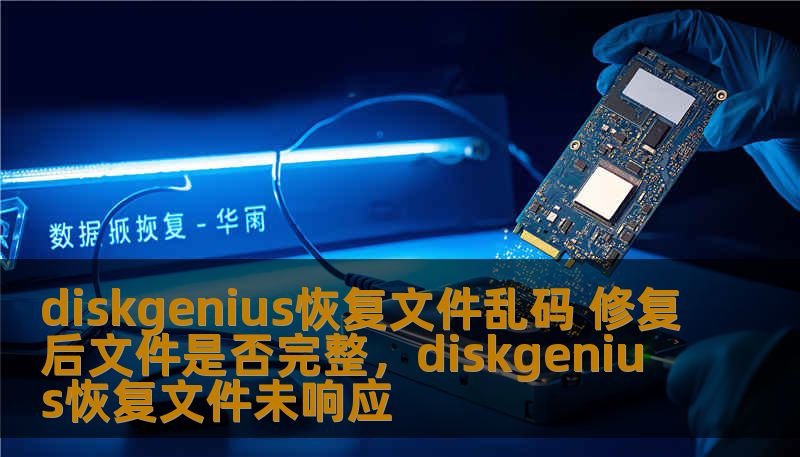 diskgenius恢复文件乱码 修复后文件是否完整，diskgenius恢复文件未响应