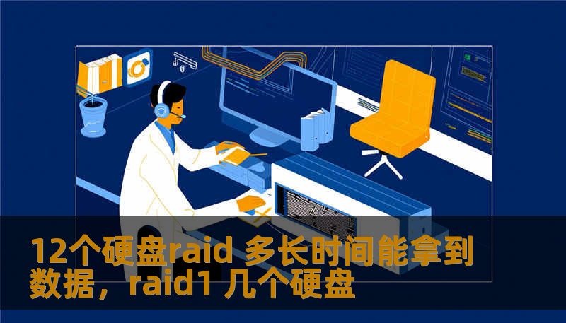 12个硬盘raid 多长时间能拿到数据，raid1 几个硬盘