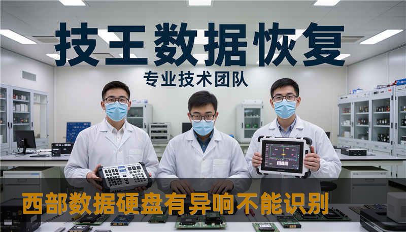 西部数据硬盘有异响不能识别