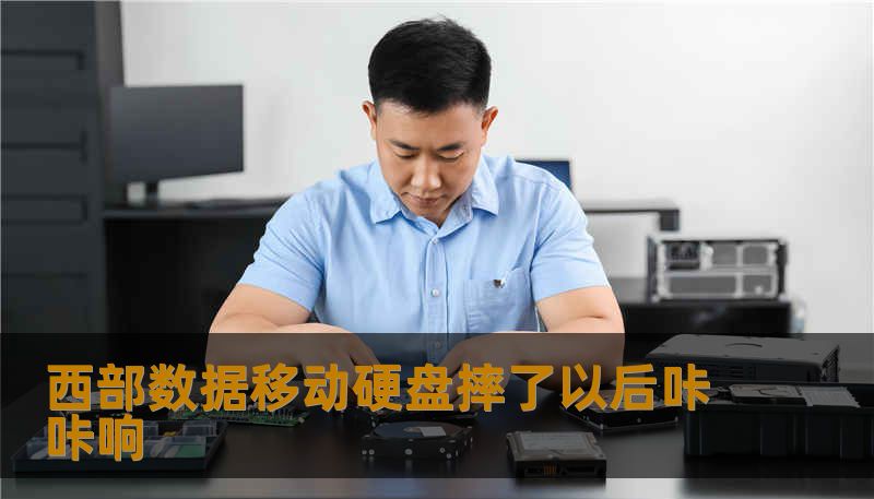西部数据移动硬盘摔了以后咔咔响