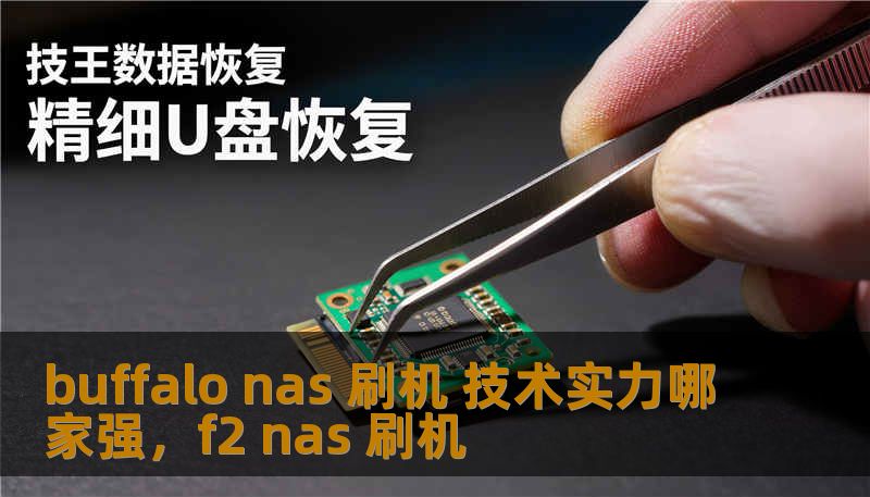 buffalo nas 刷机 技术实力哪家强，f2 nas 刷机