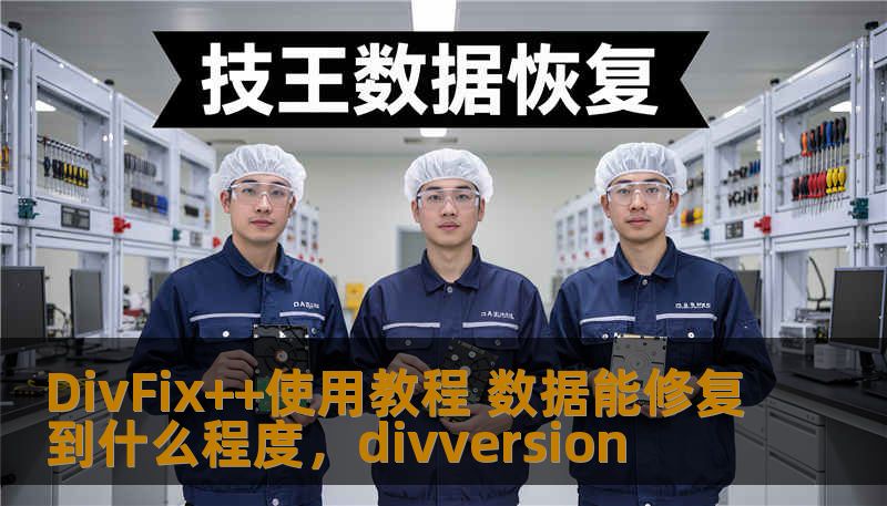 DivFix++使用教程 数据能修复到什么程度，divversion