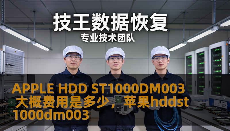 APPLE HDD ST1000DM003 大概费用是多少，苹果hddst1000dm003