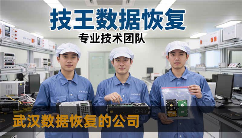武汉数据恢复的公司