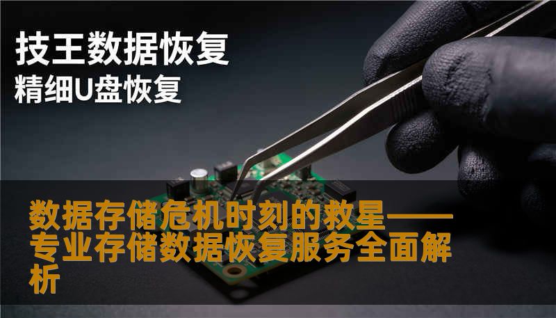 数据存储危机时刻的救星——专业存储数据恢复服务全面解析