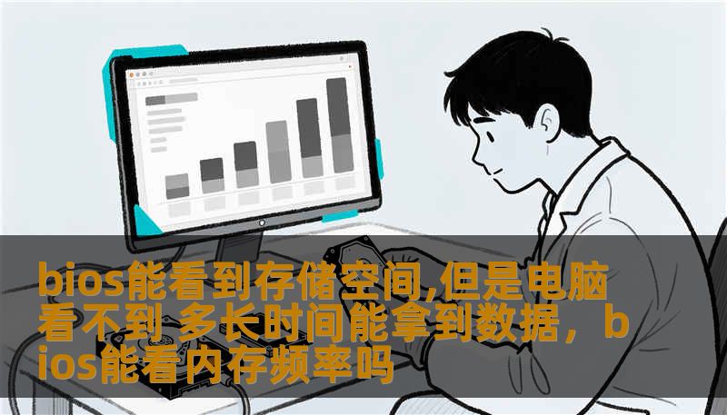 bios能看到存储空间,但是电脑看不到 多长时间能拿到数据，bios能看内存频率吗