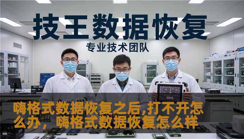 嗨格式数据恢复之后,打不开怎么办，嗨格式数据恢复怎么样