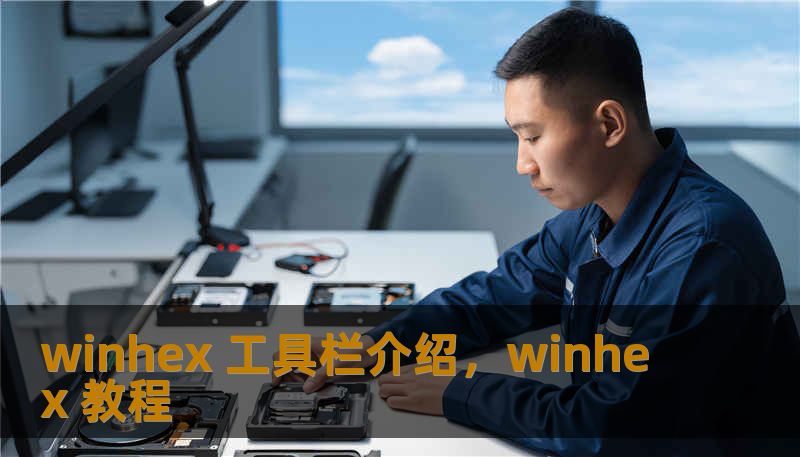 winhex 工具栏介绍，winhex 教程