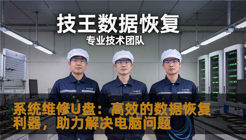 系统维修U盘：高效的数据恢复利器，助力解决电脑问题