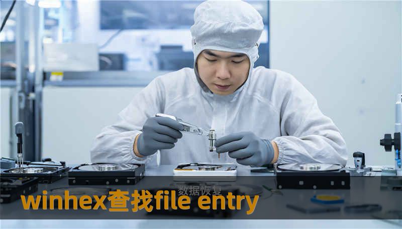 winhex查找file entry