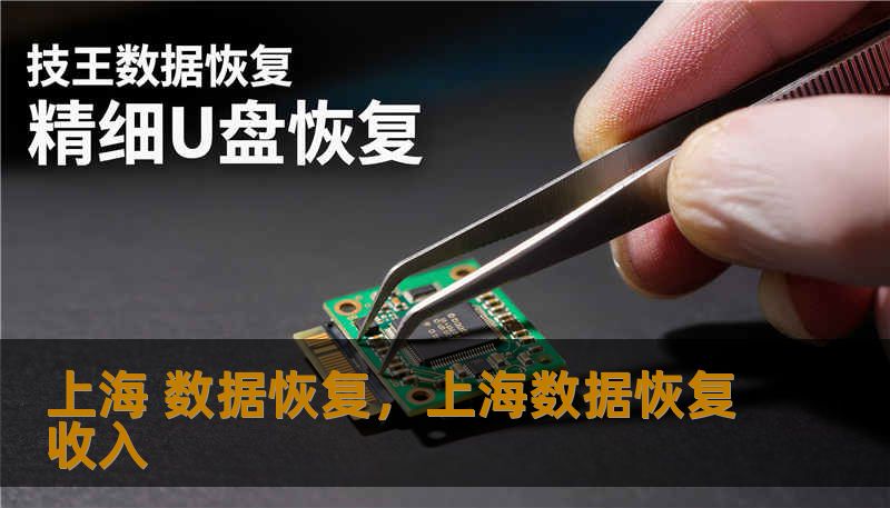 上海 数据恢复，上海数据恢复收入